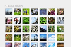 フォト蔵のAPIを使って画像を表示する